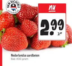 Jumbo Nederlandse aardbeien aanbieding