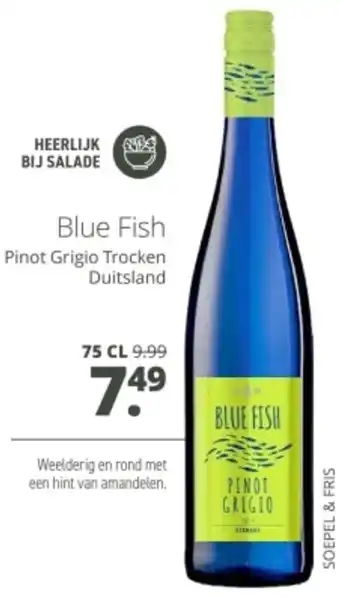 Mitra Blue Fish Pinot Grigio Trocken Duitsland aanbieding