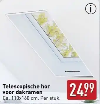ALDI Telescopische hor voor dakramen aanbieding