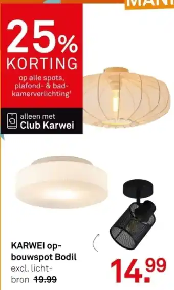Karwei Karwei op- bouwspot bodil aanbieding