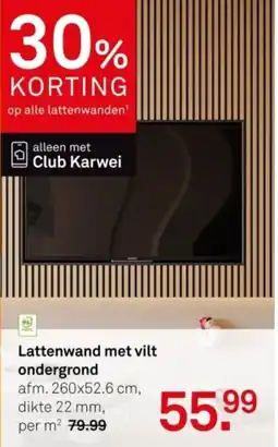 Karwei Lattenwand met vilt ondergrond aanbieding