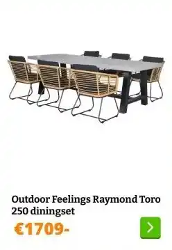 Obelink Outdoor Feelings Raymond Toro 250 diningset aanbieding