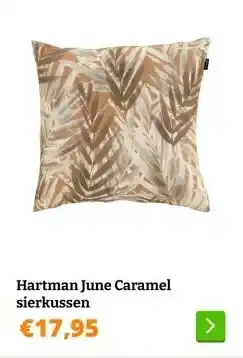 Obelink Hartman June Caramel sierkussen aanbieding