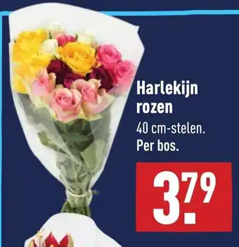 ALDI Harlekijn rozen aanbieding