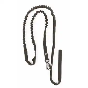 Zooplus Nomad Tales Spirit multifunctionele riem 206-270cm lang, 20mm breed hond aanbieding