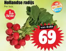 Dirk Hollandse radijs aanbieding