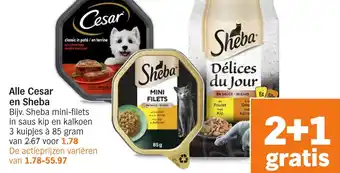 Albert Heijn Alle Cesar en Sheba aanbieding