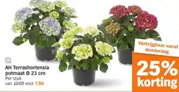 Albert Heijn AH Terrashortensia aanbieding