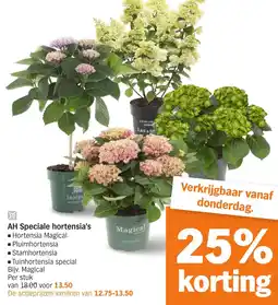 Albert Heijn AH Speciale hortensia's aanbieding
