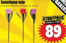Dirk Solarlamp tulp aanbieding