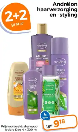 Trekpleister Andrélon haarverzorging en styling aanbieding