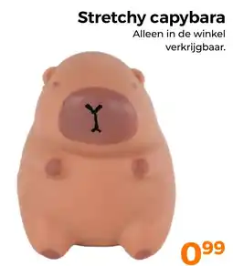 Trekpleister Stretchy capybara aanbieding