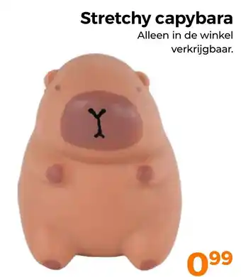 Trekpleister Stretchy capybara aanbieding