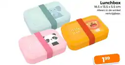 Trekpleister Lunchbox aanbieding
