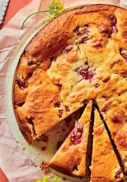 Ekoplaza Ricotta frambozentaart aanbieding