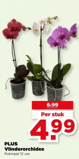 PLUS PLUS Vlinderorchidee aanbieding
