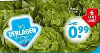 Hoogvliet Kropsla aanbieding
