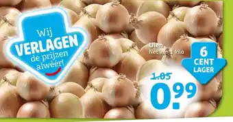 Hoogvliet Uien aanbieding