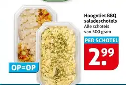 Hoogvliet Hoogvliet BBQ saladeschotels aanbieding