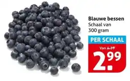 Hoogvliet Blauwe bessen aanbieding