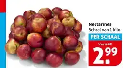 Hoogvliet Nectarines Schaal aanbieding