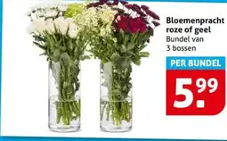 Hoogvliet Bloemenpracht roze of geel aanbieding