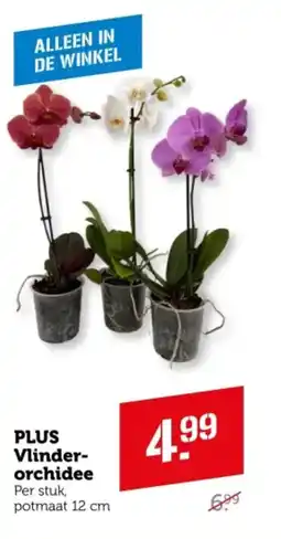 Coop PLUS Vlinder- orchidee aanbieding