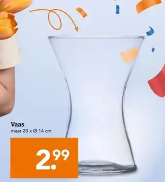 Blokker Vaas aanbieding