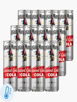 Flink Captain Morgan Spiced Gold & Cola blik 5% 25cl 12x aanbieding