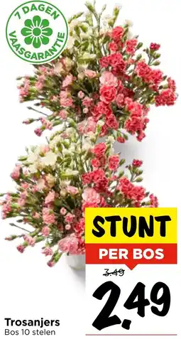 Vomar Voordeelmarkt Trosanjers aanbieding