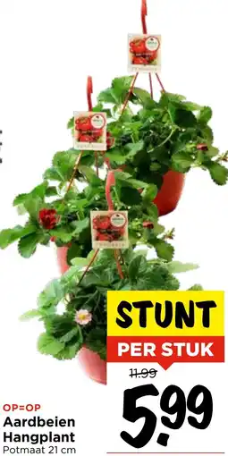 Vomar Voordeelmarkt Aardbeien Hangplant aanbieding