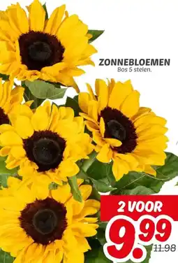 Dekamarkt Zonnebloemen aanbieding