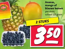 Nettorama Ananas, mango of blauwe bessen aanbieding