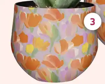 Coppelmans 3. Bloempot Mats aanbieding