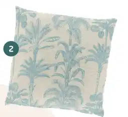 Coppelmans 2. Kussen aanbieding