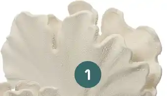 Coppelmans 1. Koraal vaas aanbieding