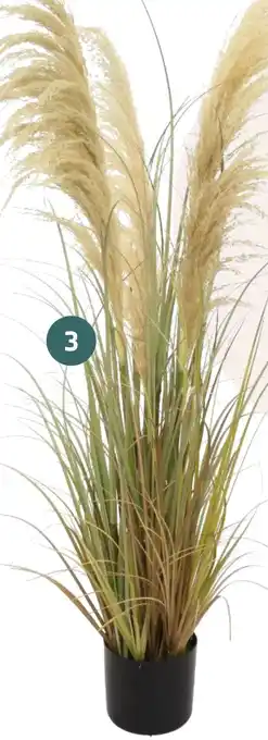 Coppelmans 3. Pampas kunstplant aanbieding