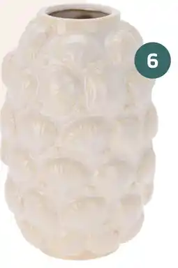 Coppelmans 6. Schelpenvaas aanbieding