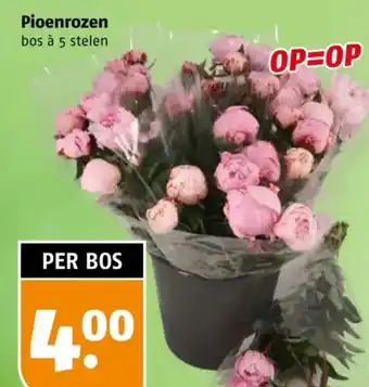 Poiesz Pioenrozen aanbieding