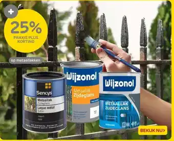 Praxis Op metaallakken aanbieding