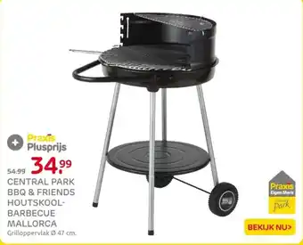 Praxis Central park bbq & friends houtskool barbecue mallorca aanbieding