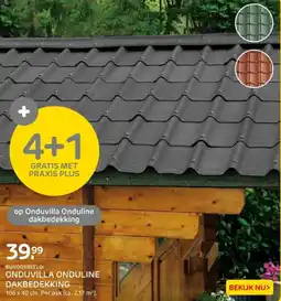 Praxis Onduvilla onduline dakbedekking aanbieding