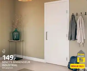 Praxis Sencys binnendeur industrial aanbieding