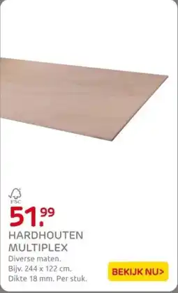Praxis Hardhouten multiplex aanbieding