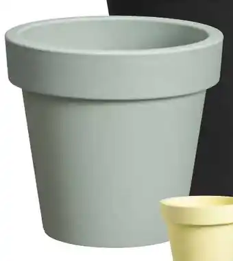 Kwantum Flores Groen aanbieding