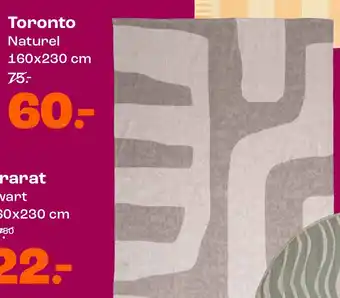 Kwantum Toronto aanbieding