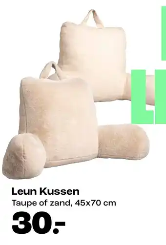 Kwantum Leun Kussen aanbieding