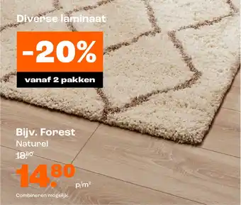 Kwantum Forest aanbieding