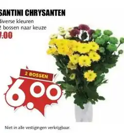 MCD Supermarkt SANTINI CHRYSANTEN aanbieding