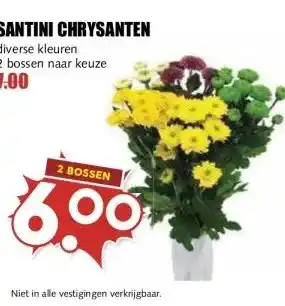 MCD Supermarkt SANTINI CHRYSANTEN aanbieding